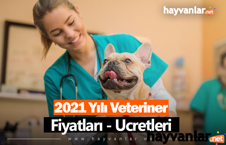 2021-yili-veteriner-fiyatlari-ucretleri-1.png