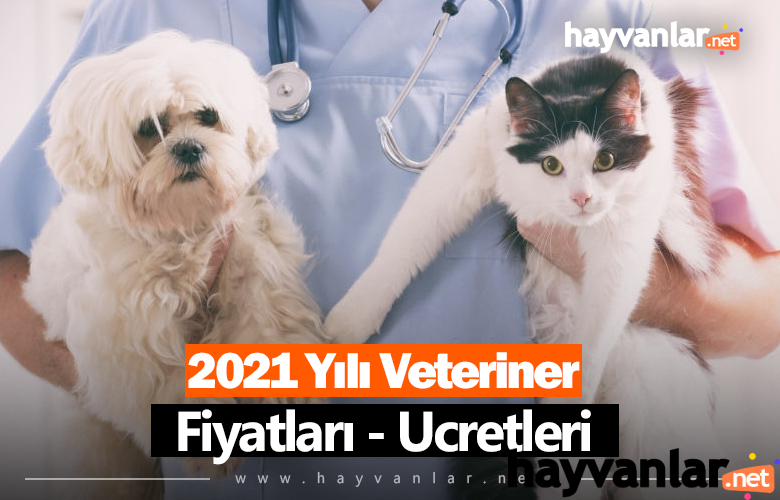 2021-yili-veteriner-fiyatlari-ucretleri.png