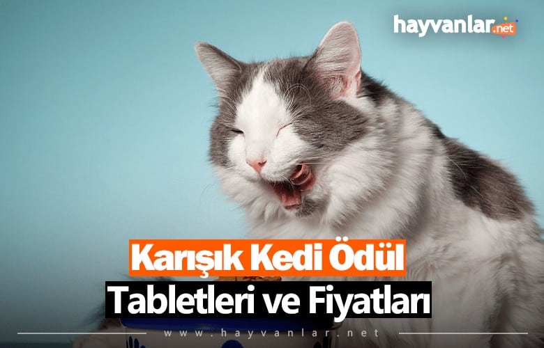 Karışık Kedi Ödül Tabletleri