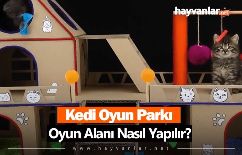 Kedi Oyun Parkı (Oyun Alanı) Nasıl Yapılır