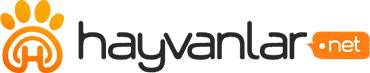 Hayvanlar.net